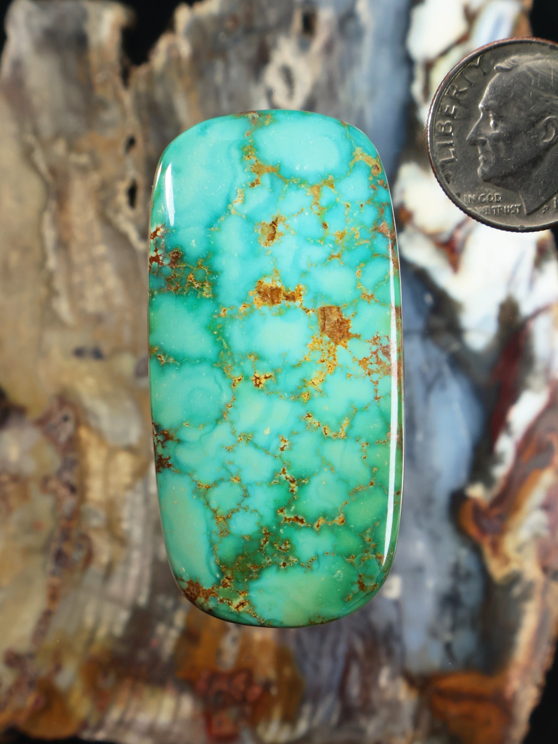 Turquoise Sonoran Mountain cabochon with gold matrix, oval domed stone