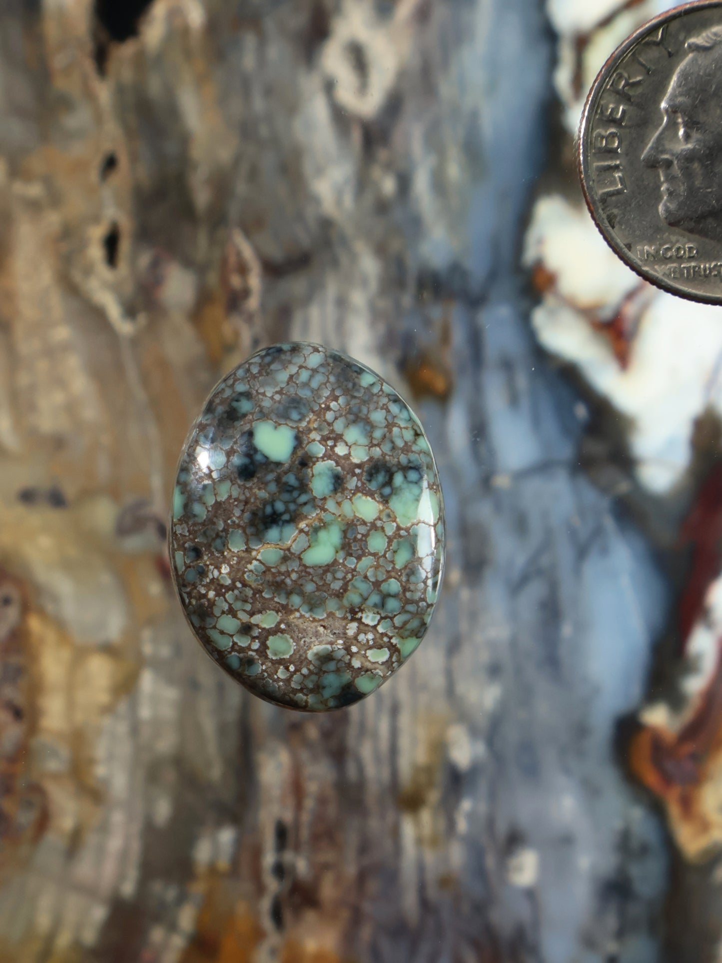 Oval variscite cabochon gemstone with teal and tan webbed pattern, polished stone