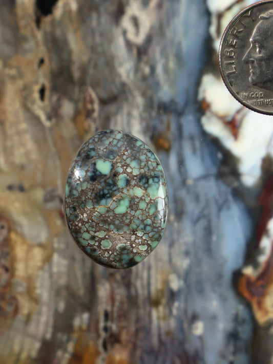 Oval variscite cabochon gemstone with teal and tan webbed pattern, polished stone