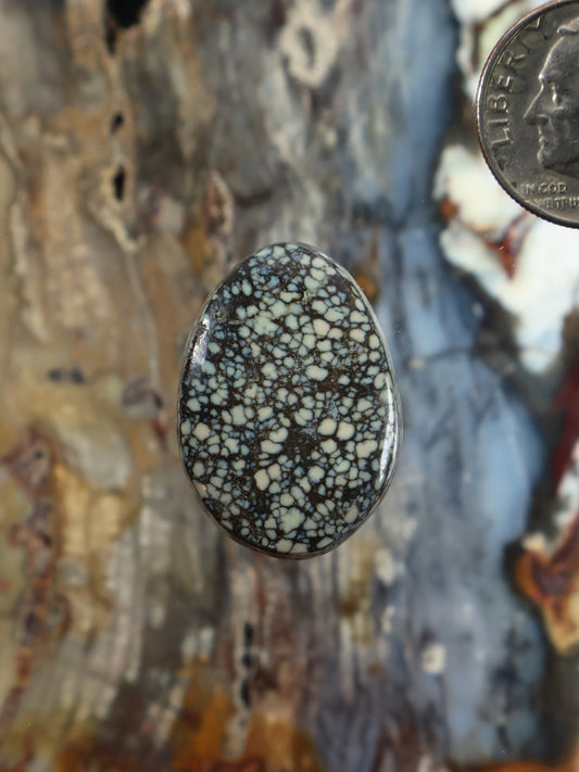 Variscite cabochon, teardrop-shaped dark blue stone with black web pattern.