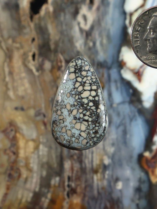 Teardrop variscite cabochon with blue-gray stone and dark web-like pattern