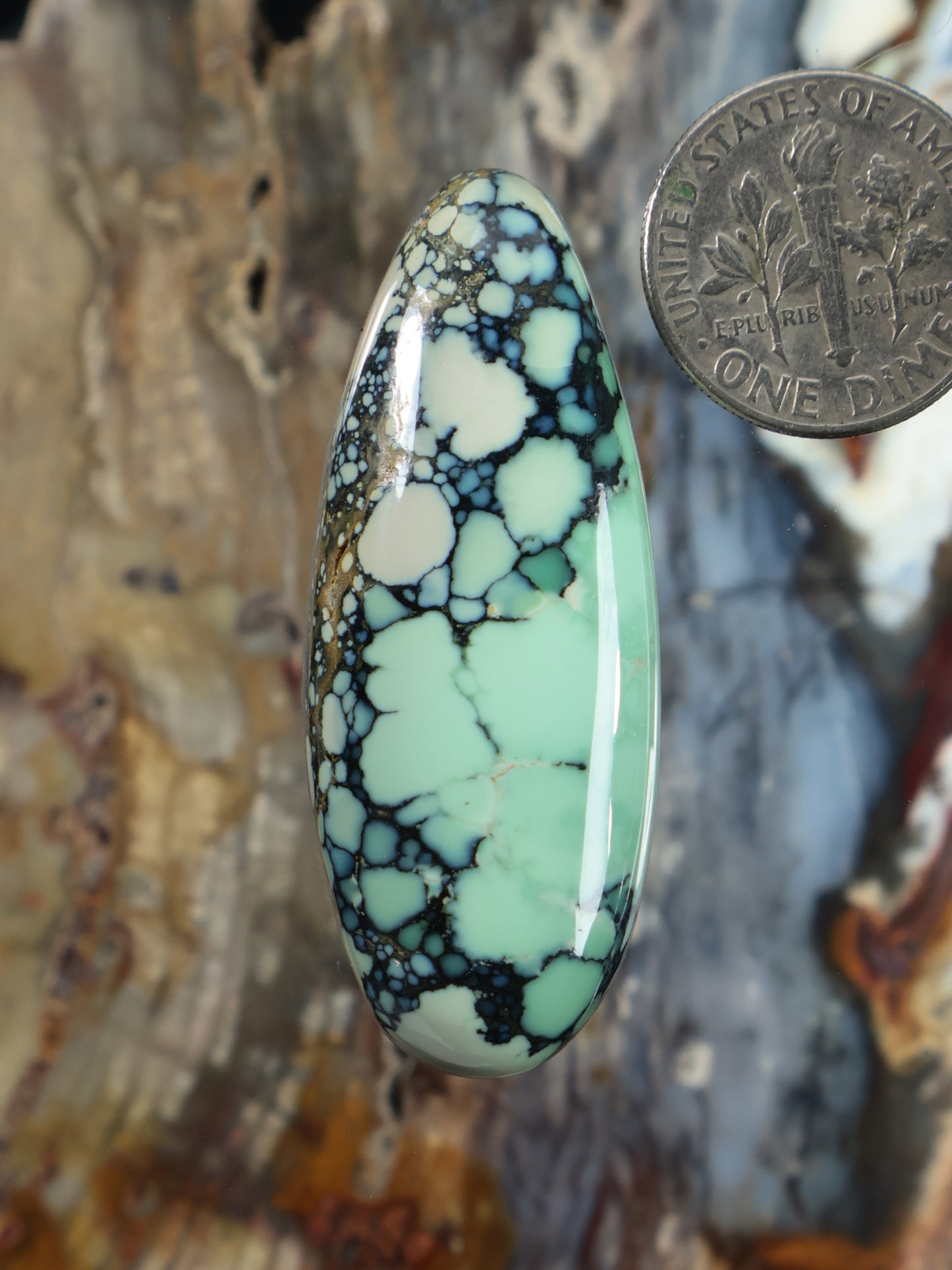 Variscite cabochon gemstone in an oval teardrop shape with dark webbing.