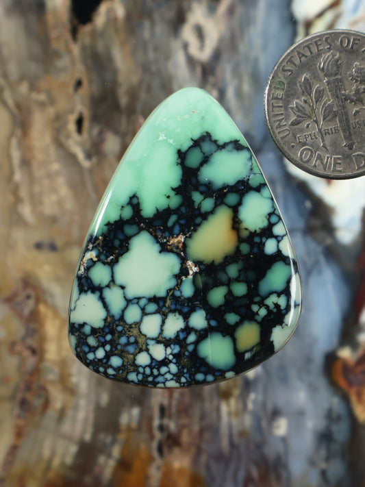Variscite cabochon, teardrop-shaped, mint-green and black web matrix gemstone