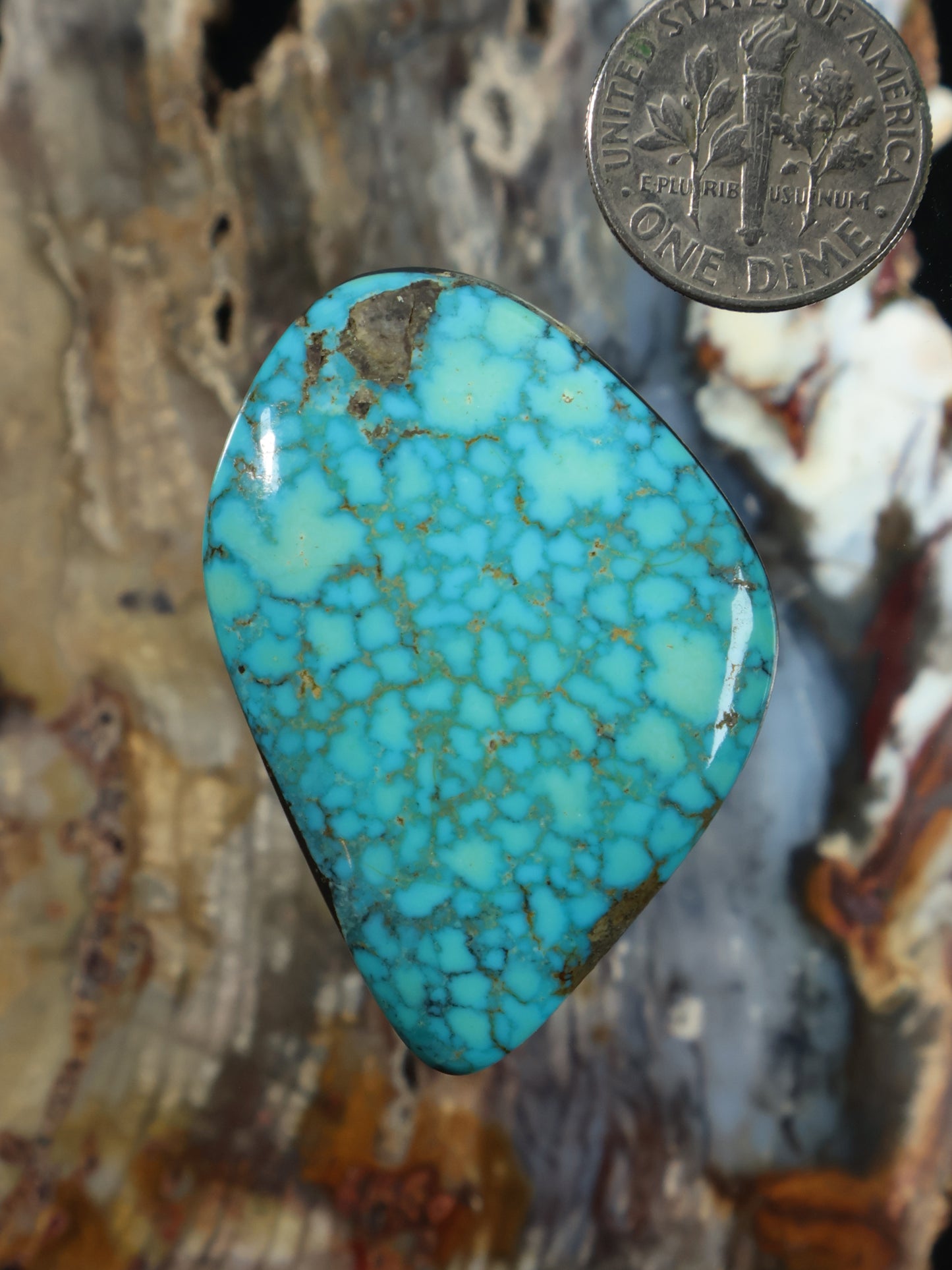 Kingman Waterweb turquoise teardrop cabochon with natural web pattern
