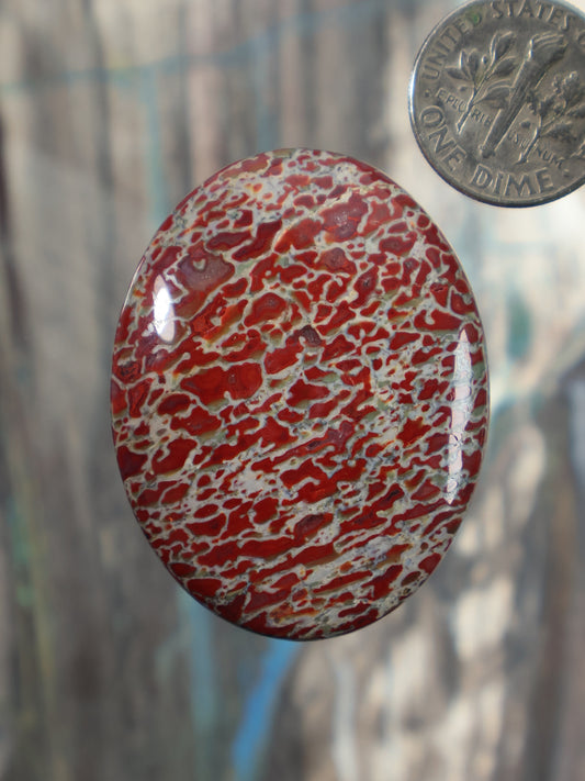 Red and white patterned oval gembone cabochon with polished glossy surface