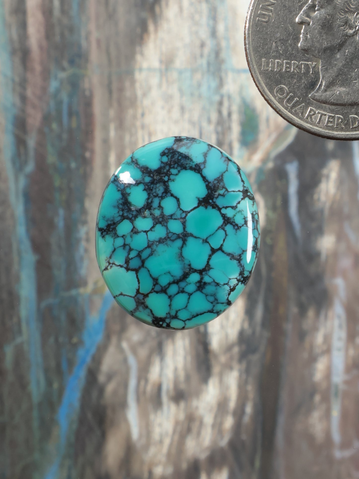 Turquoise oval cabochon with dark webbed matrix pattern
