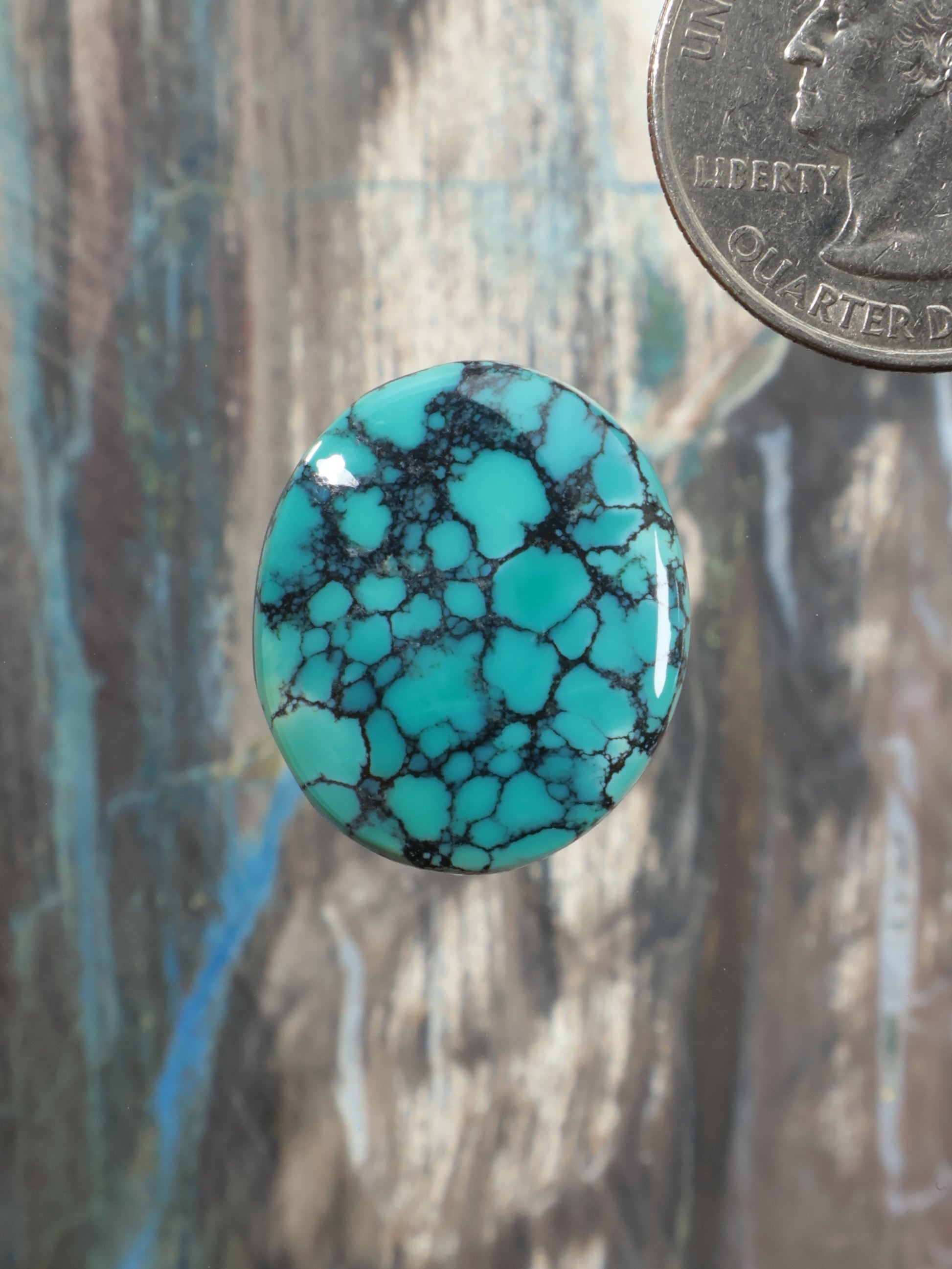 Turquoise oval cabochon with dark webbed matrix pattern