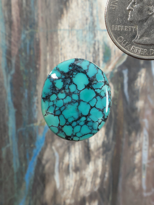 Turquoise oval cabochon with dark webbed matrix pattern