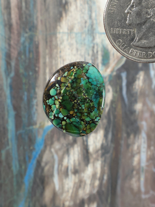 Round turquoise cabochon gemstone with green matrix webbing