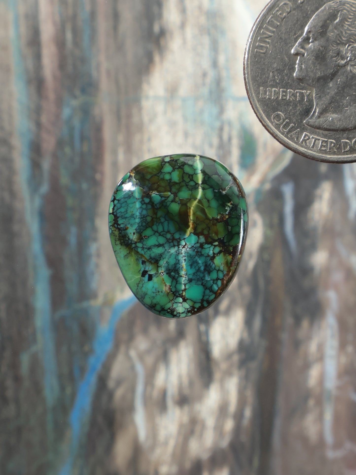 Round turquoise cabochon with green-blue webbed pattern and polished dome