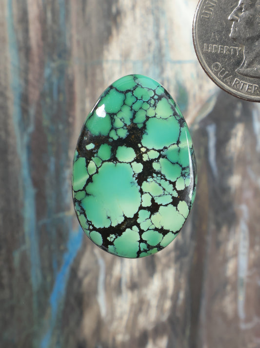 Turquoise cabochon gemstone with black webbed matrix, oval.