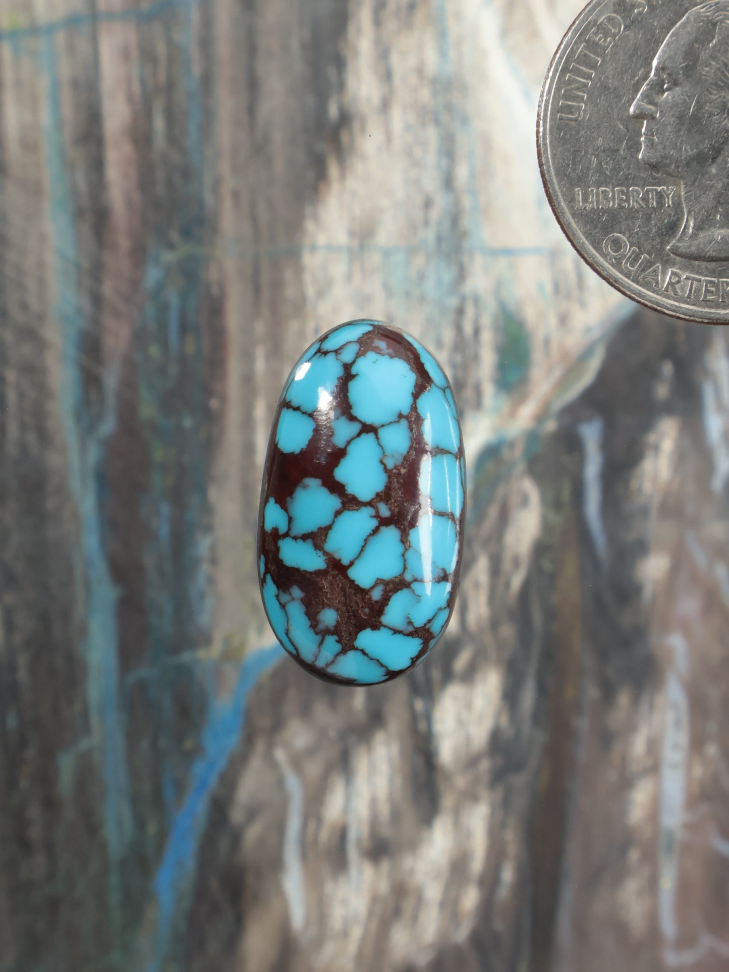 Oval turquoise cabochon gemstone with dark matrix veins