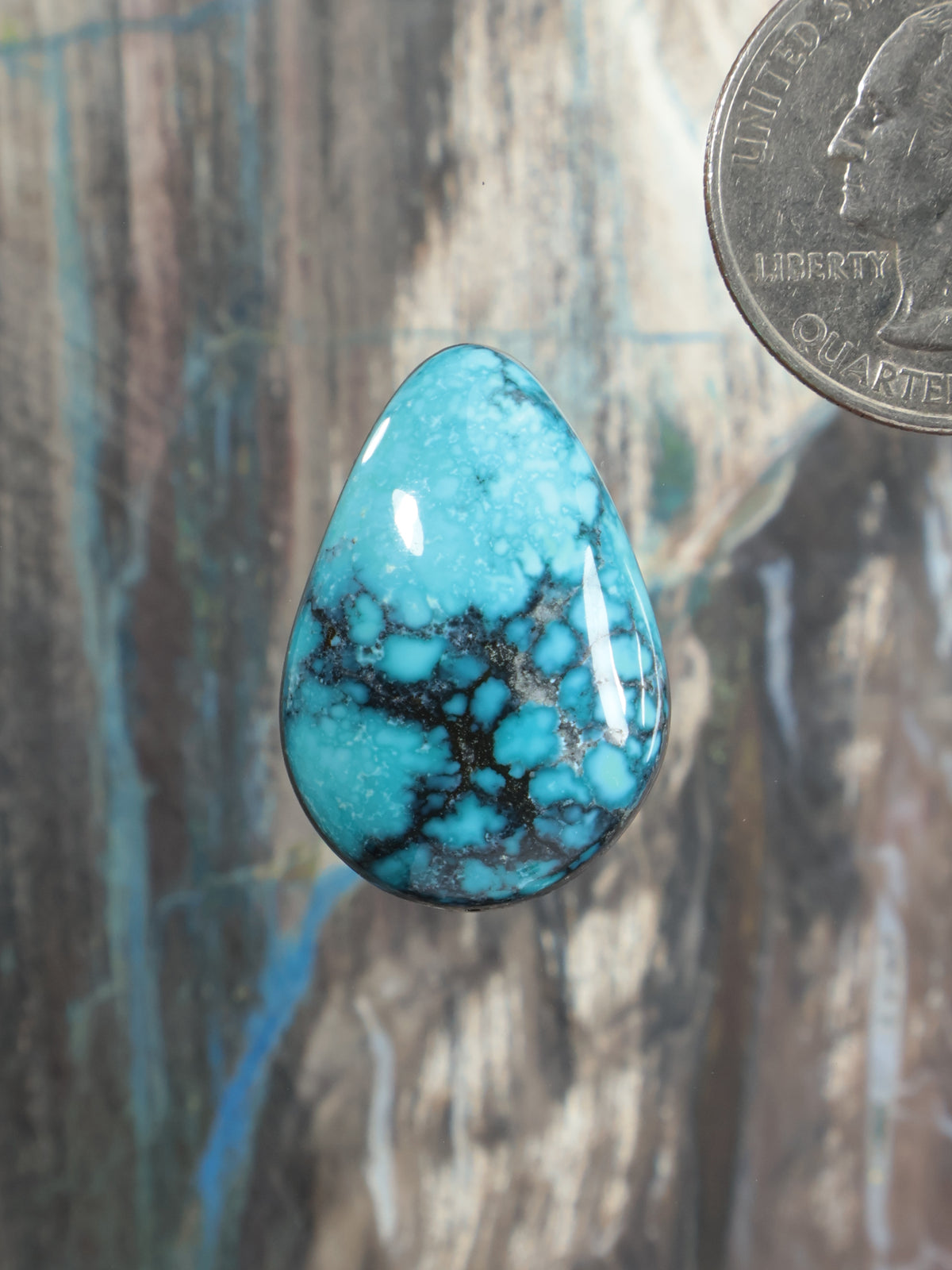 Turquoise teardrop cabochon gemstone with dark matrix web pattern