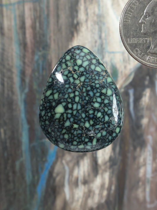 Green variscite cabochon teardrop with dark webbed vein pattern