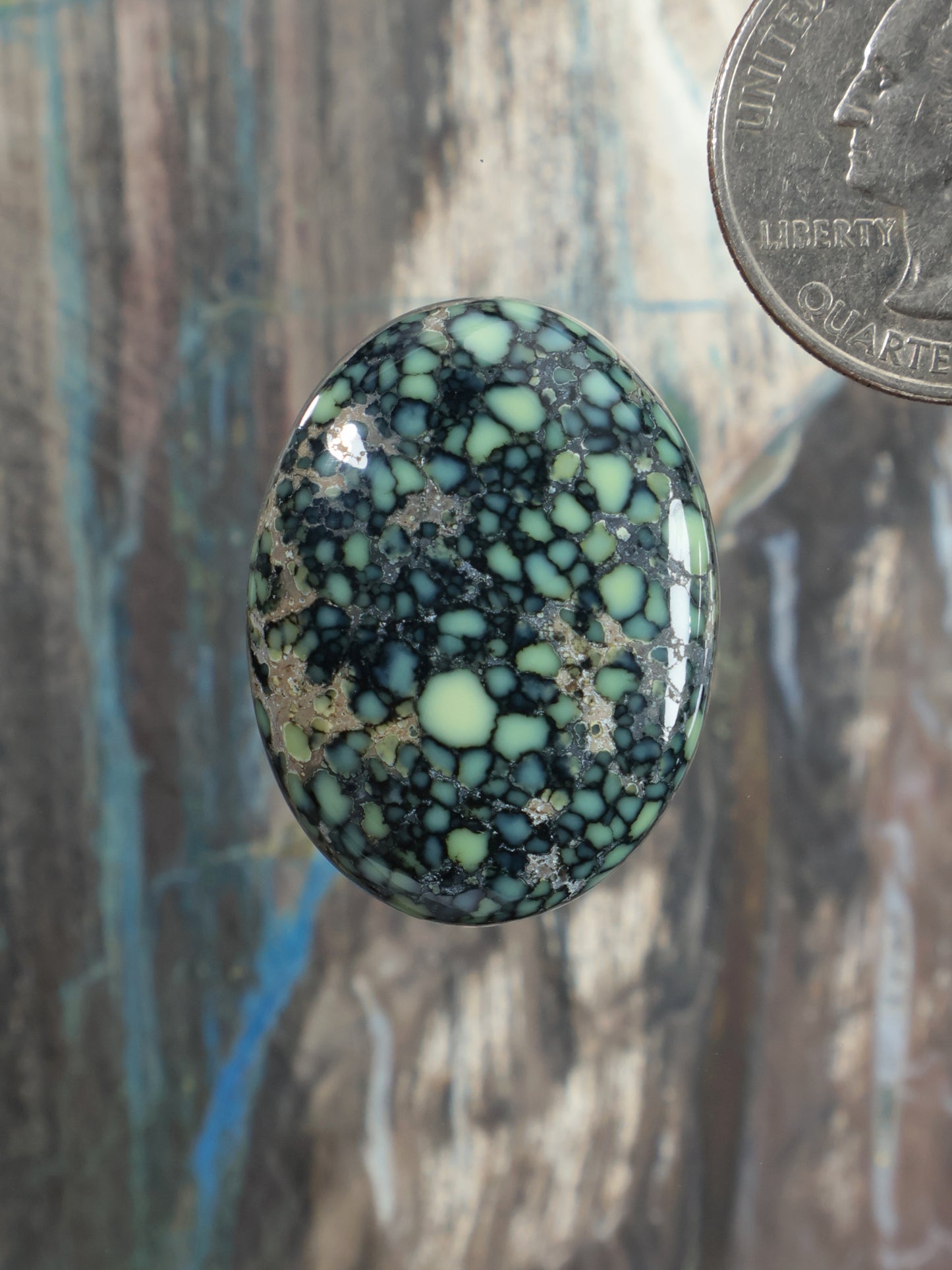 Oval variscite cabochon with black webbed stone pattern