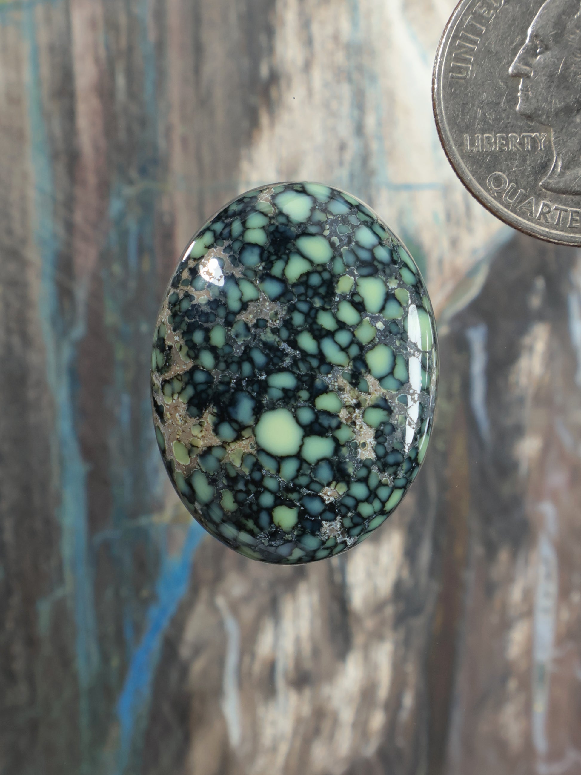 Oval variscite cabochon with black webbed stone pattern