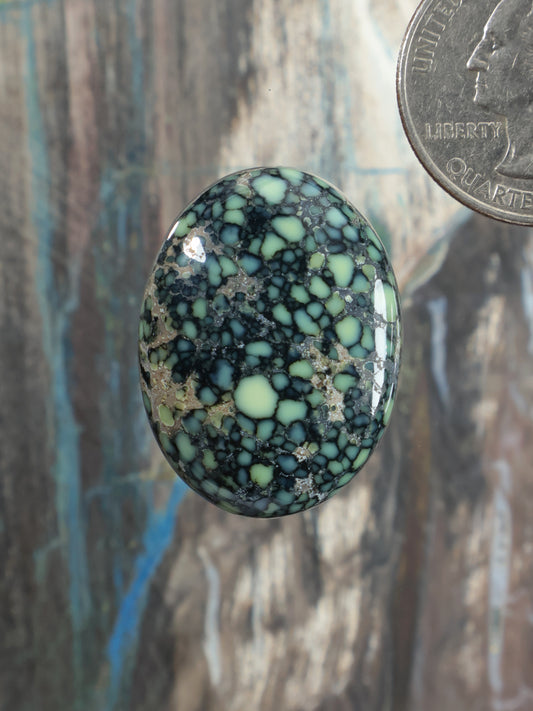 Oval variscite cabochon with black webbed stone pattern