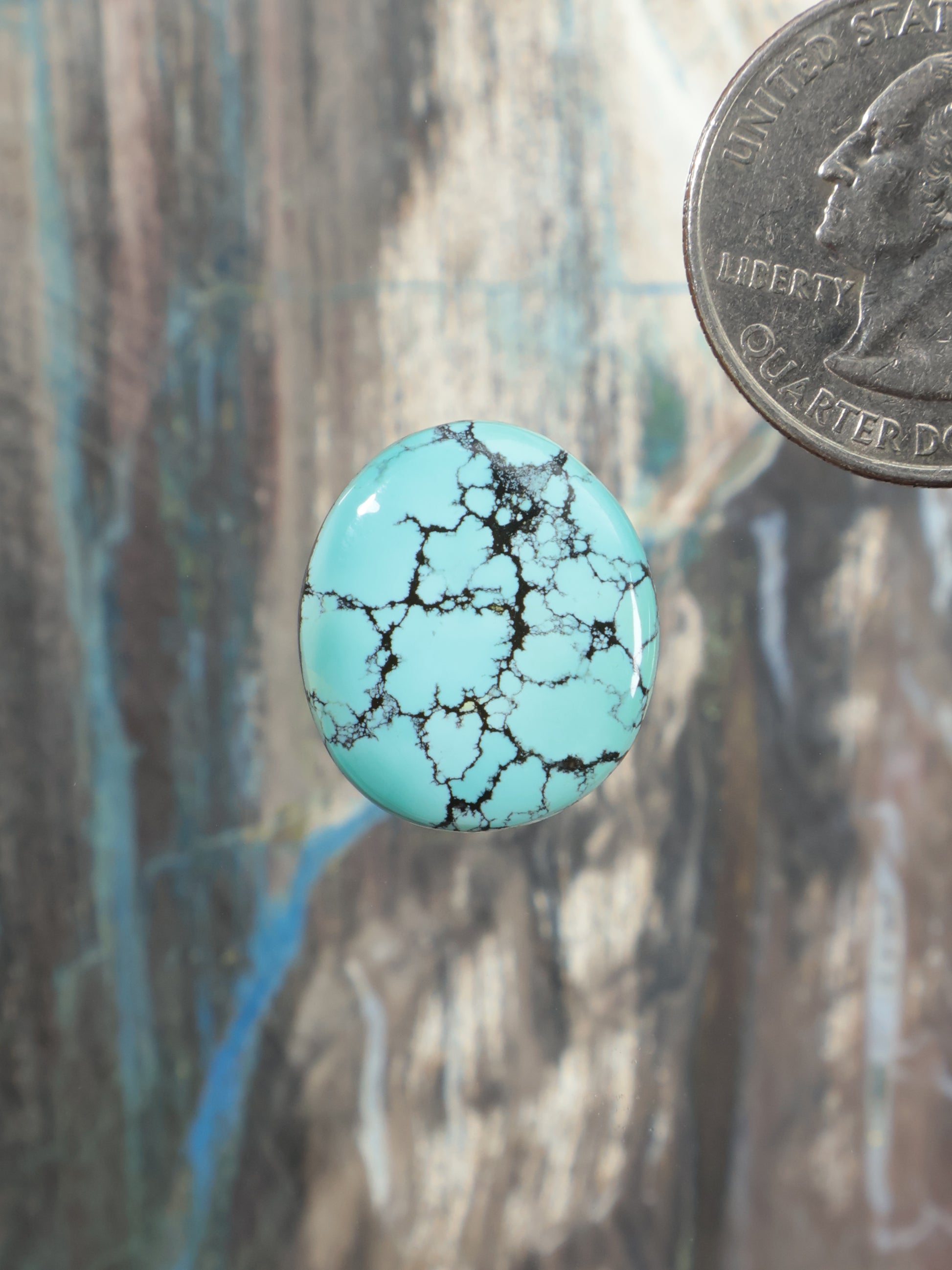 Round turquoise cabochon with black webbed matrix pattern