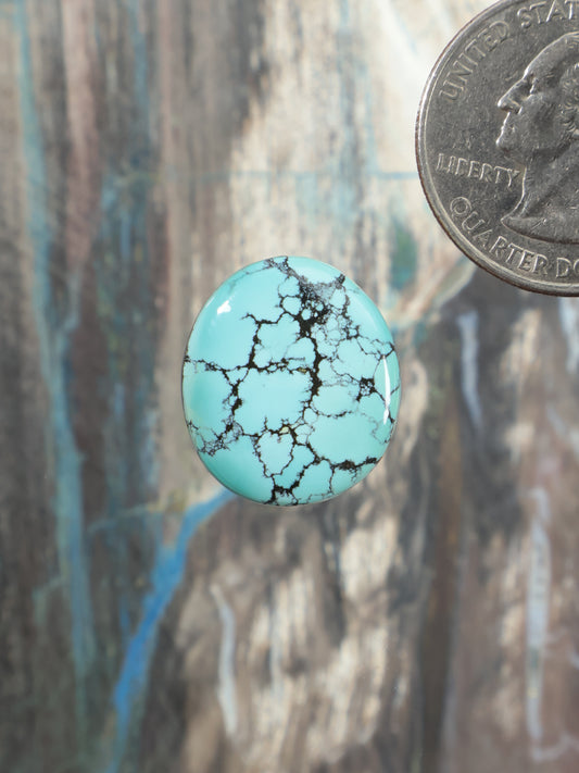 Round turquoise cabochon with black webbed matrix pattern