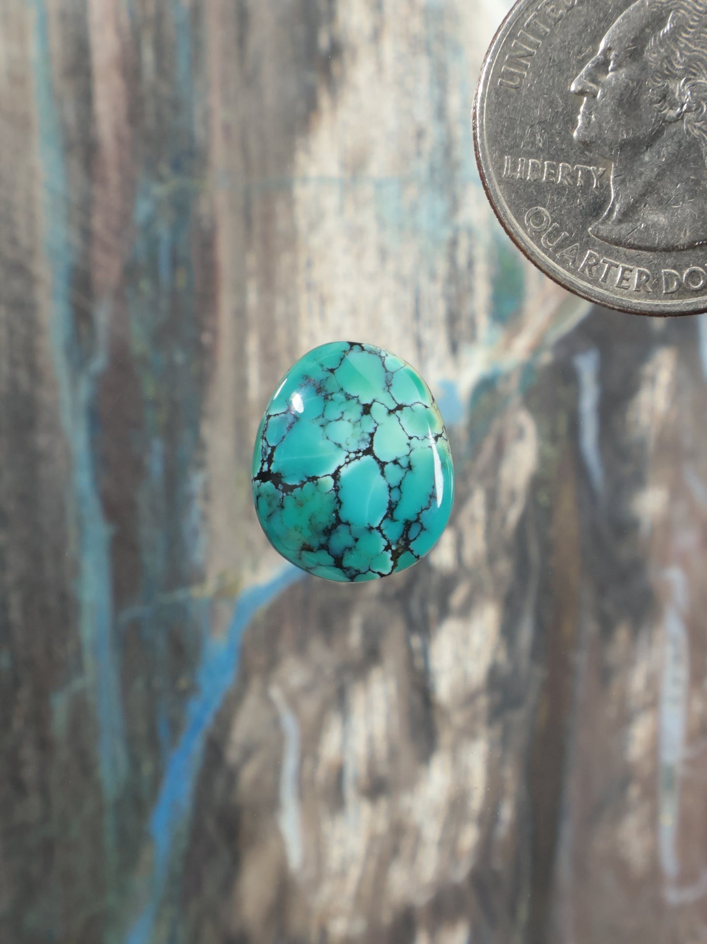 Turquoise cabochon gemstone with dark matrix webbing, oval shape