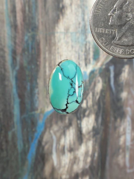Oval turquoise cabochon gemstone with black matrix veining and glossy finish