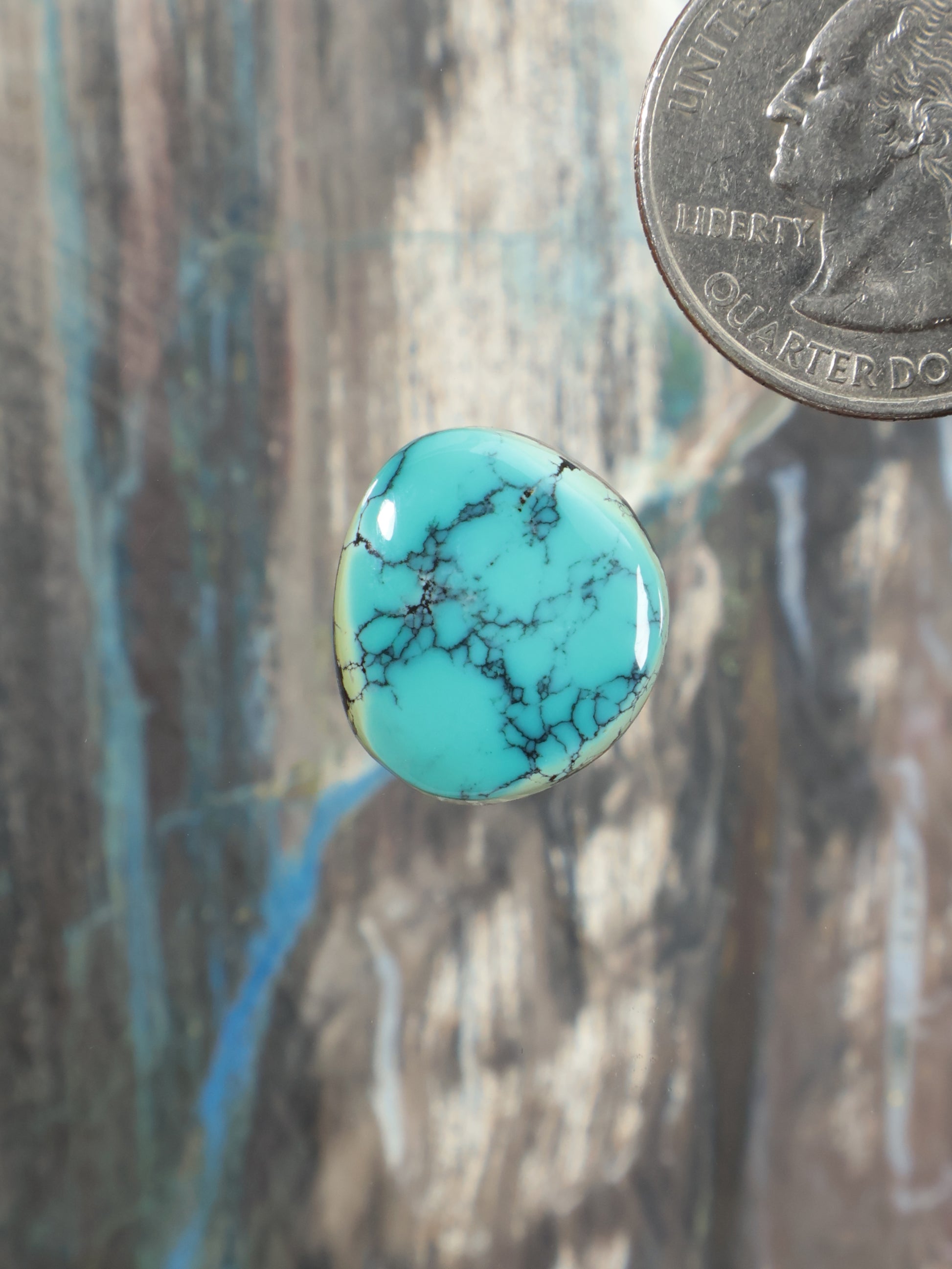 Turquoise round cabochon with dark matrix veining, polished gemstone