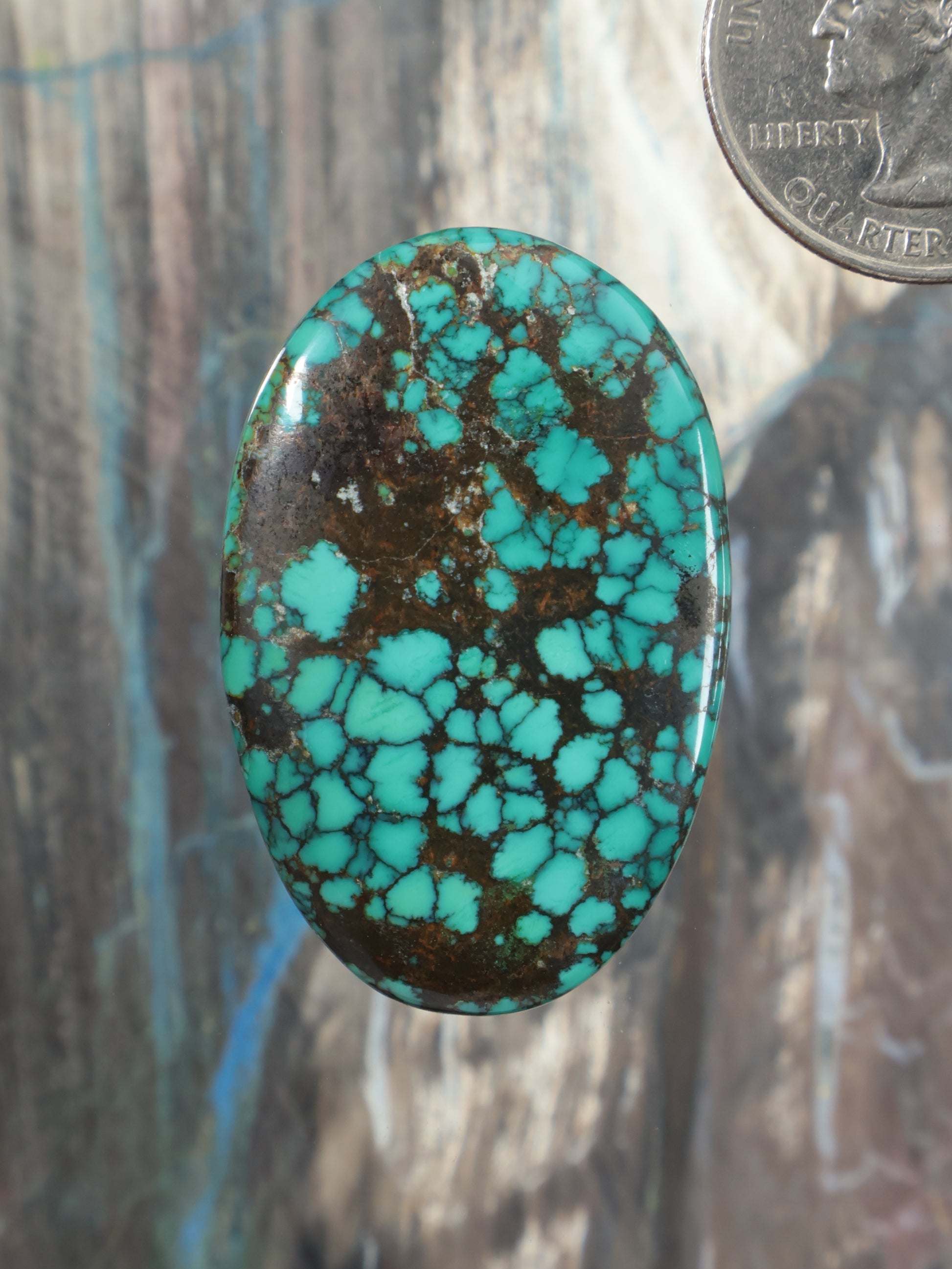 Turquoise cabochon gemstone, oval teal with dark matrix webbing and silver rim