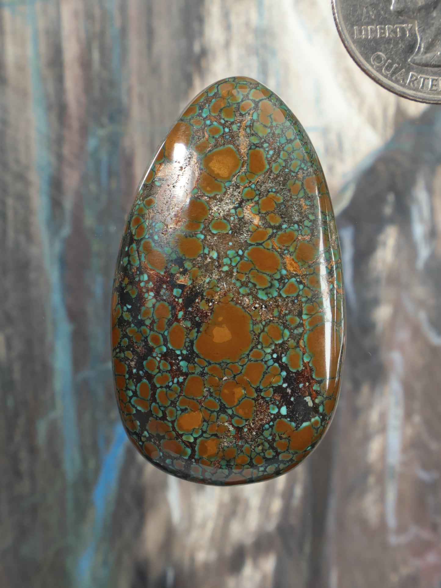Oval turquoise cabochon gemstone with mottled gold-green web pattern