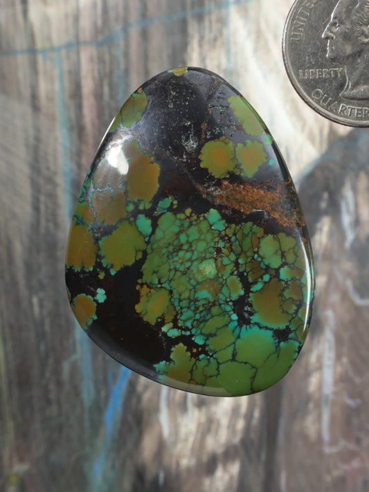 Hubei turquoise cabochon with dark green and black web pattern