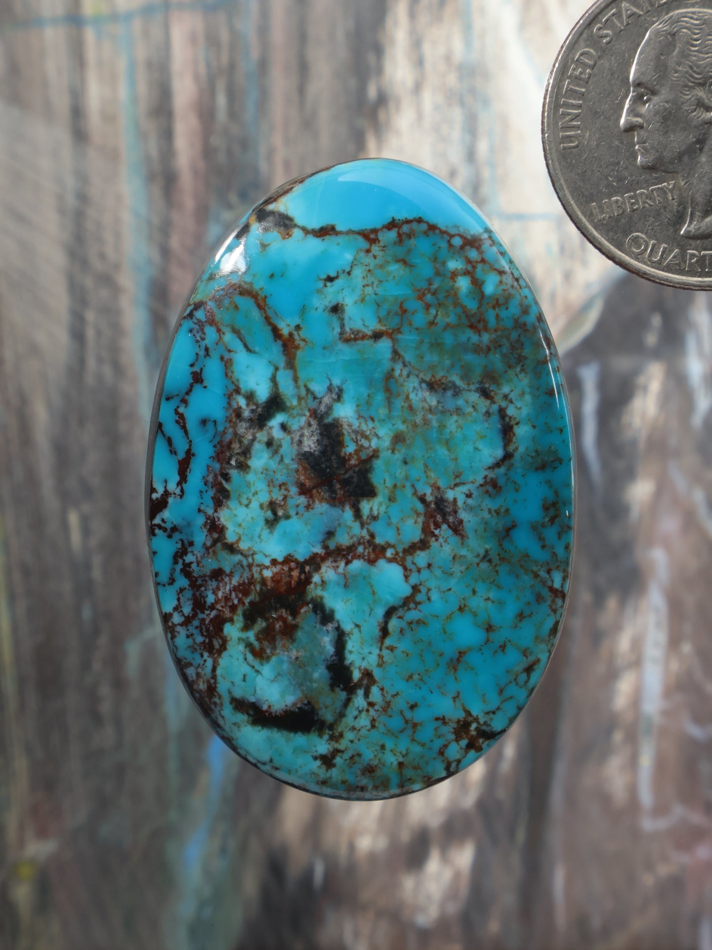 Oval turquoise cabochon gemstone with dark matrix webbing detail