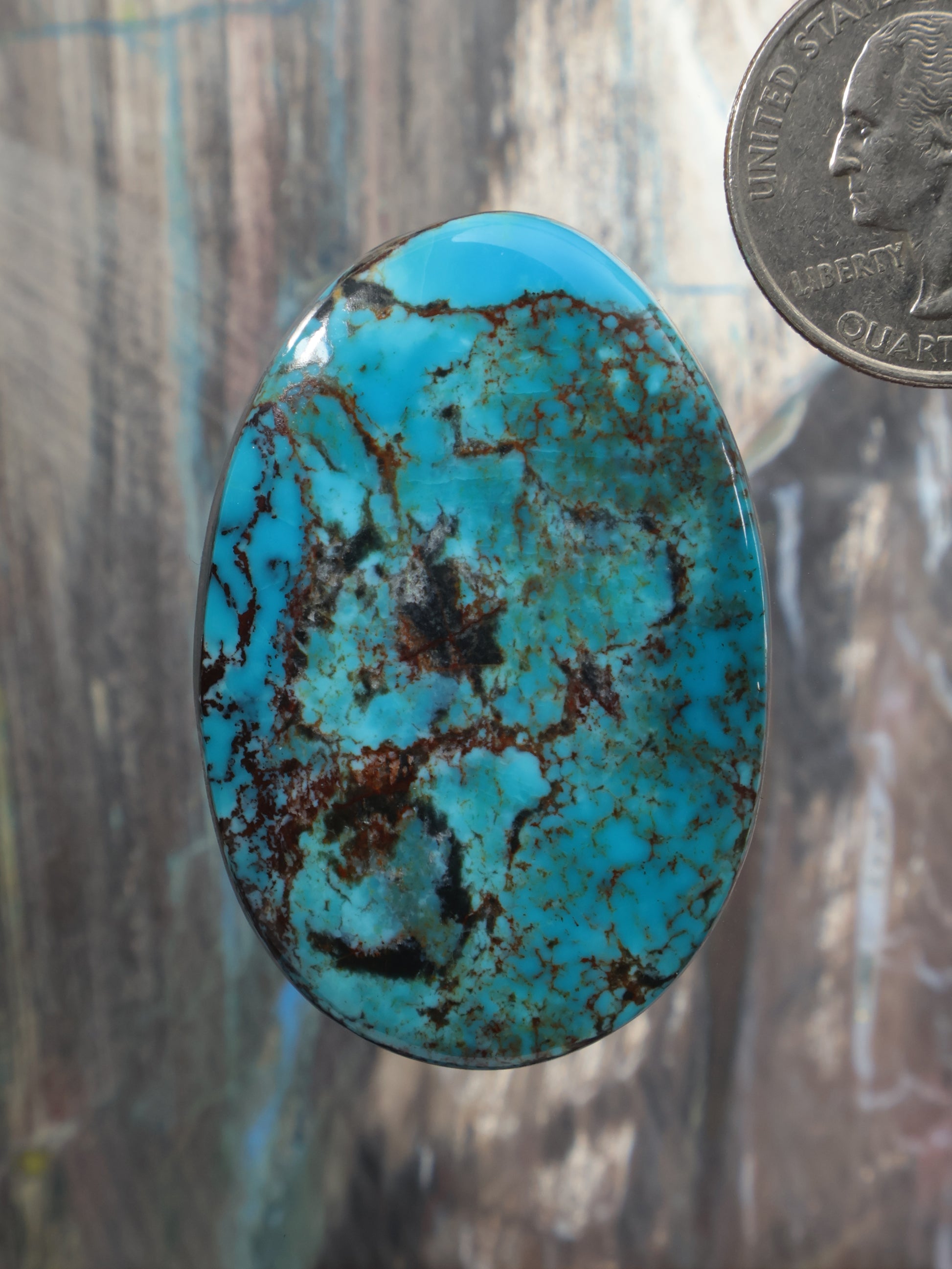 Oval turquoise cabochon gemstone with dark matrix webbing detail