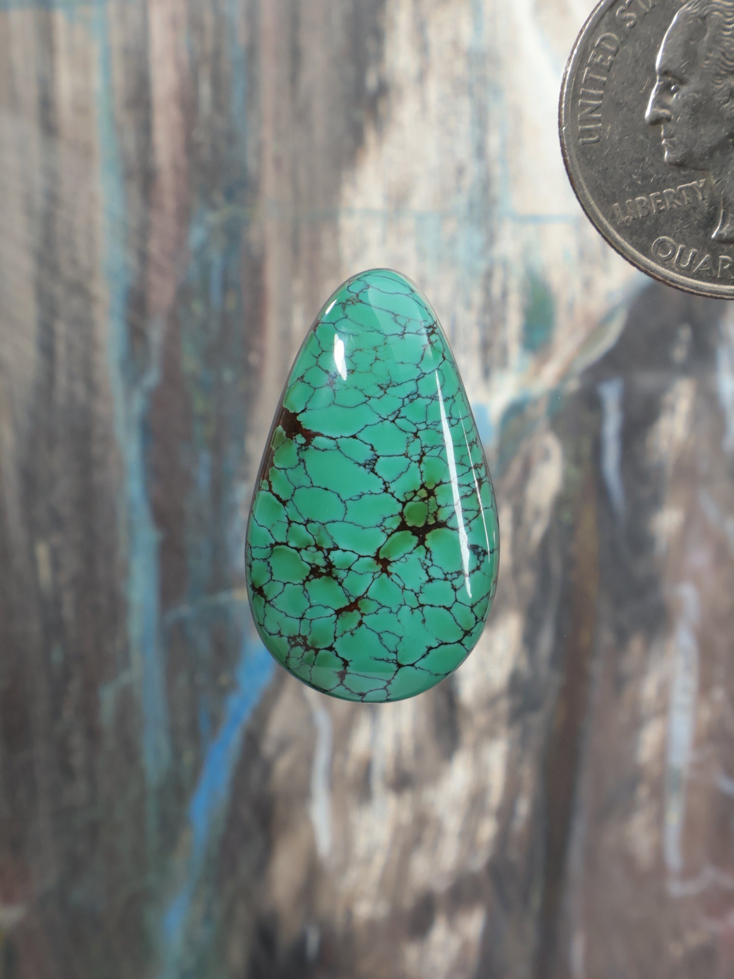 Turquoise teardrop cabochon with black webbed matrix, polished dome setting