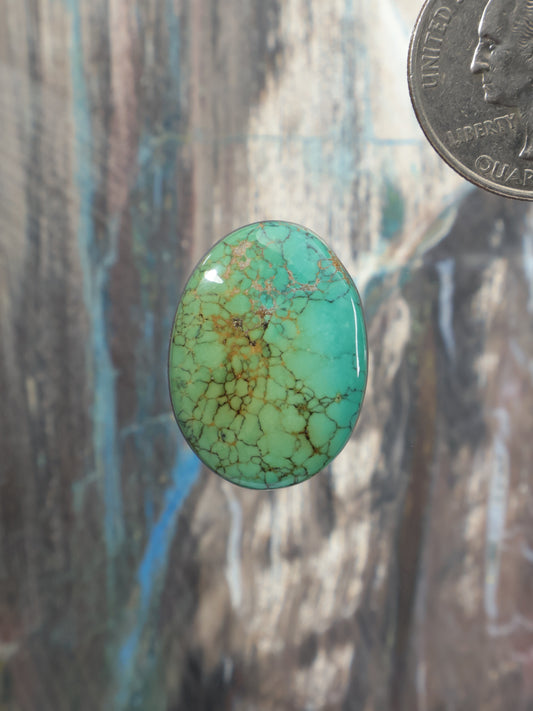 Oval turquoise cabochon gemstone with webbed matrix