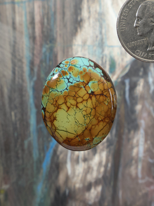 Round turquoise cabochon gemstone with webbed brown and green matrix pattern