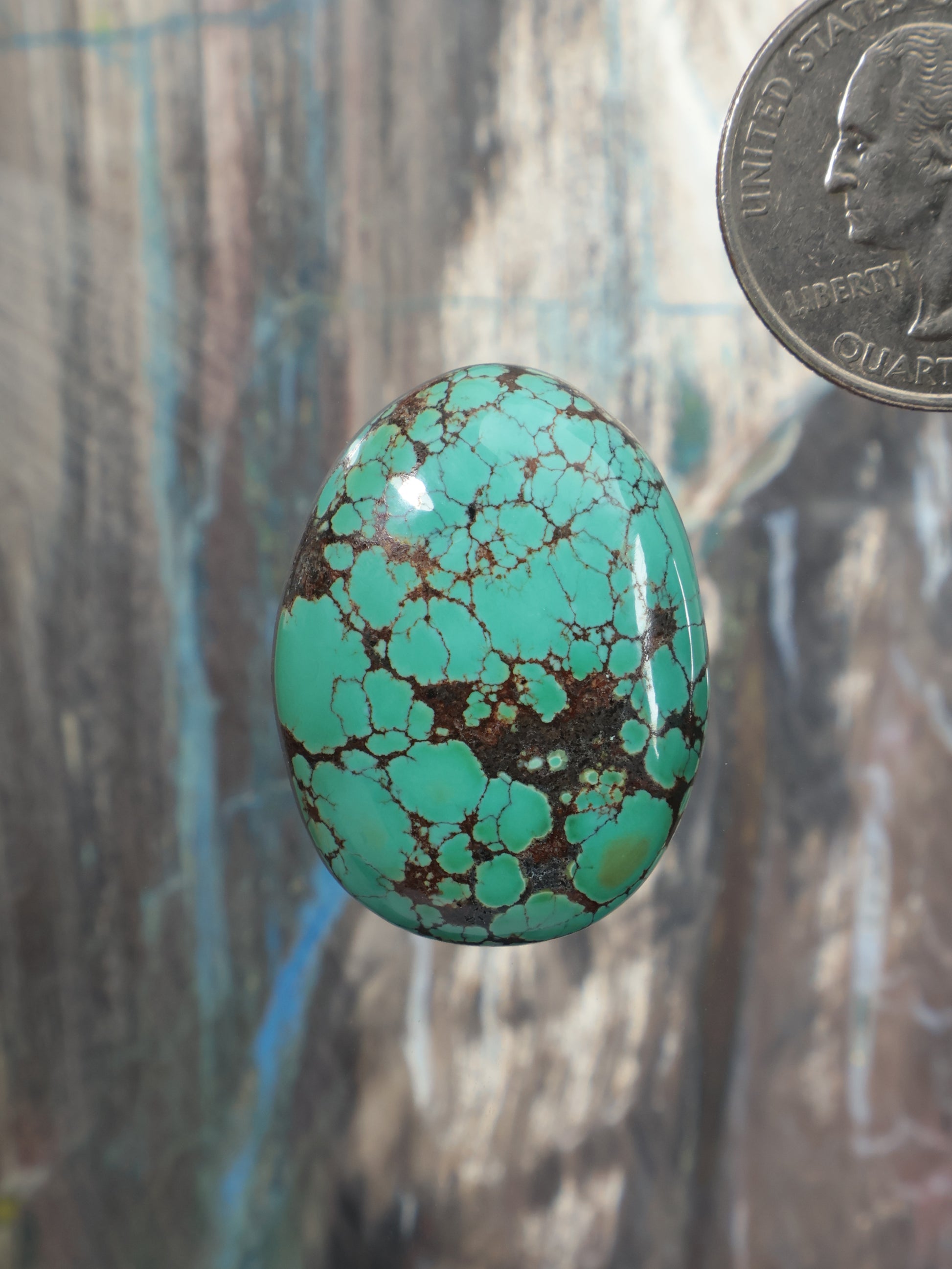 Turquoise cabochon gemstone with oval shape and dark brown web pattern