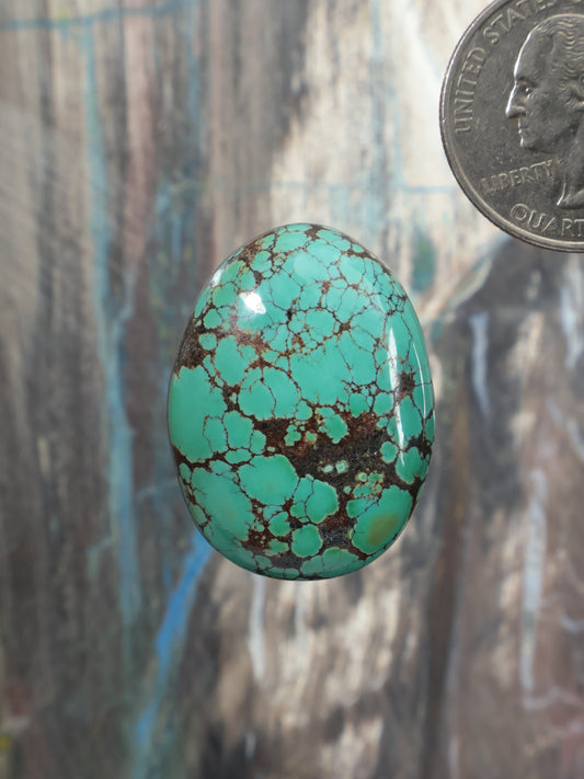 Turquoise cabochon gemstone with oval shape and dark brown web pattern