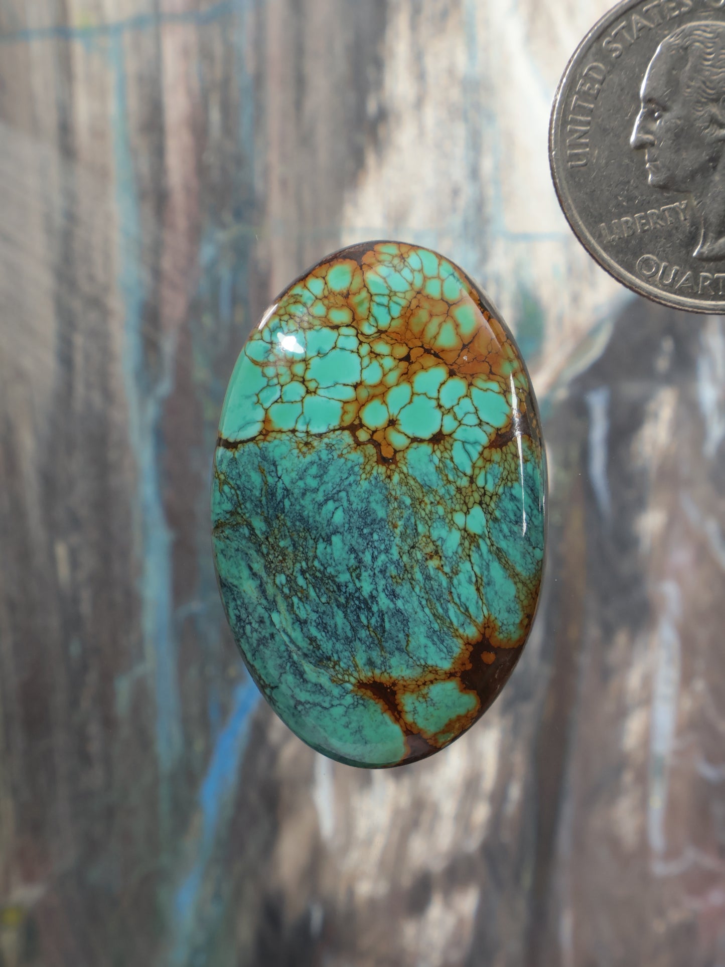 Oval turquoise cabochon gemstone with brown matrix webbing and polished domed top