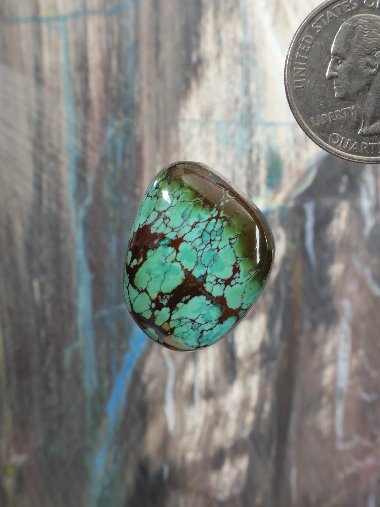 Skyhorse turquoise cabochon, oval with dark web matrix