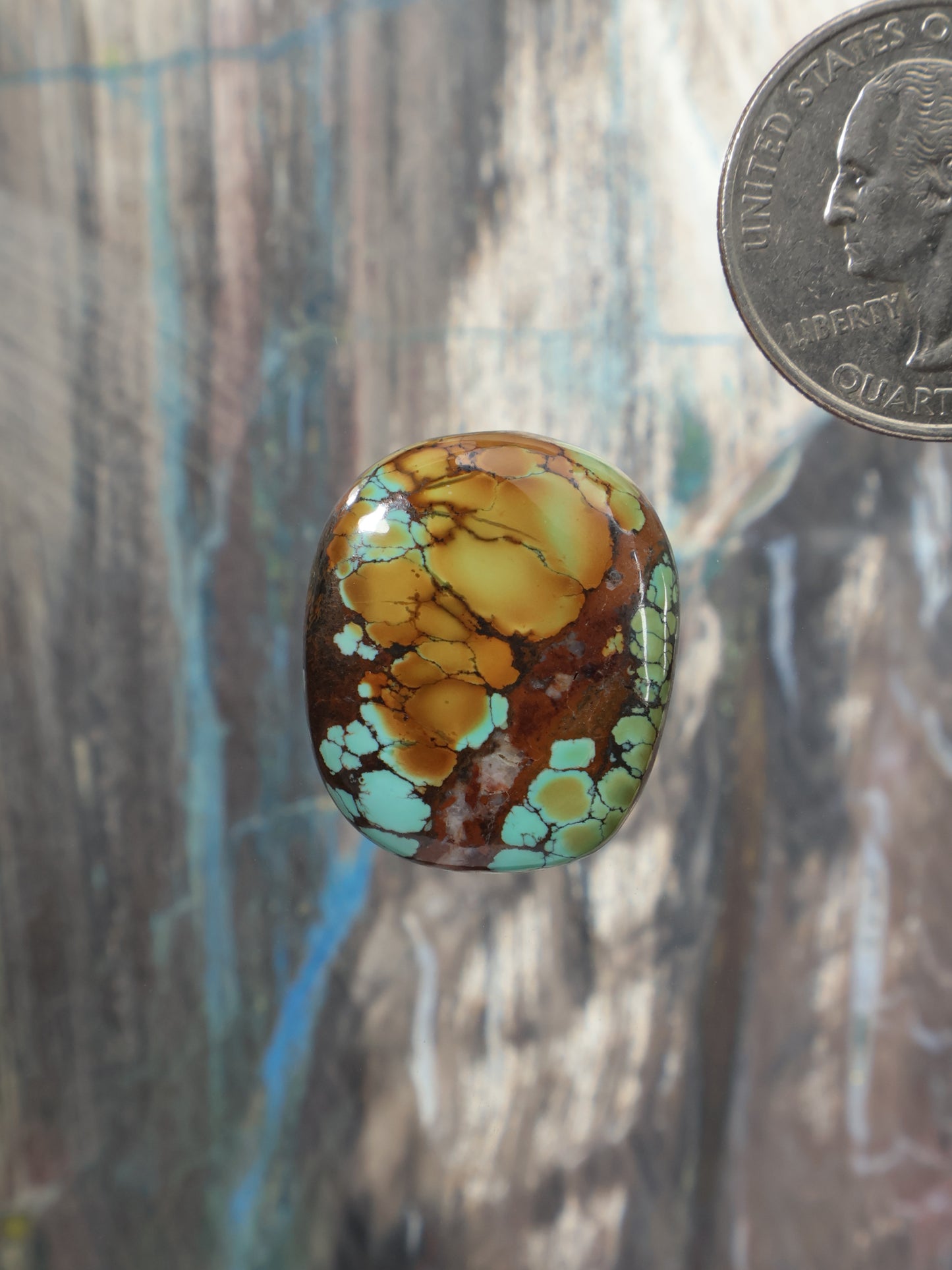 Oval turquoise cabochon gemstone with amber-brown matrix, polished