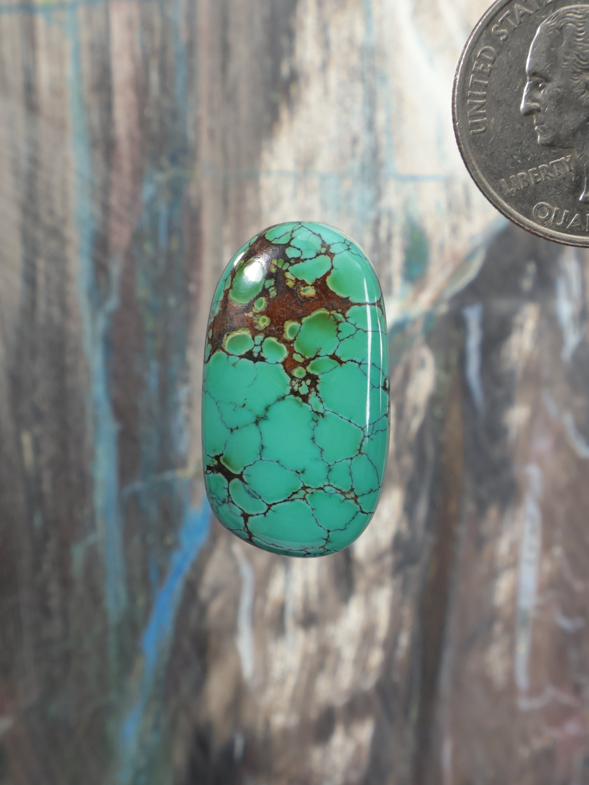 Oval turquoise cabochon with brown spiderweb matrix detail