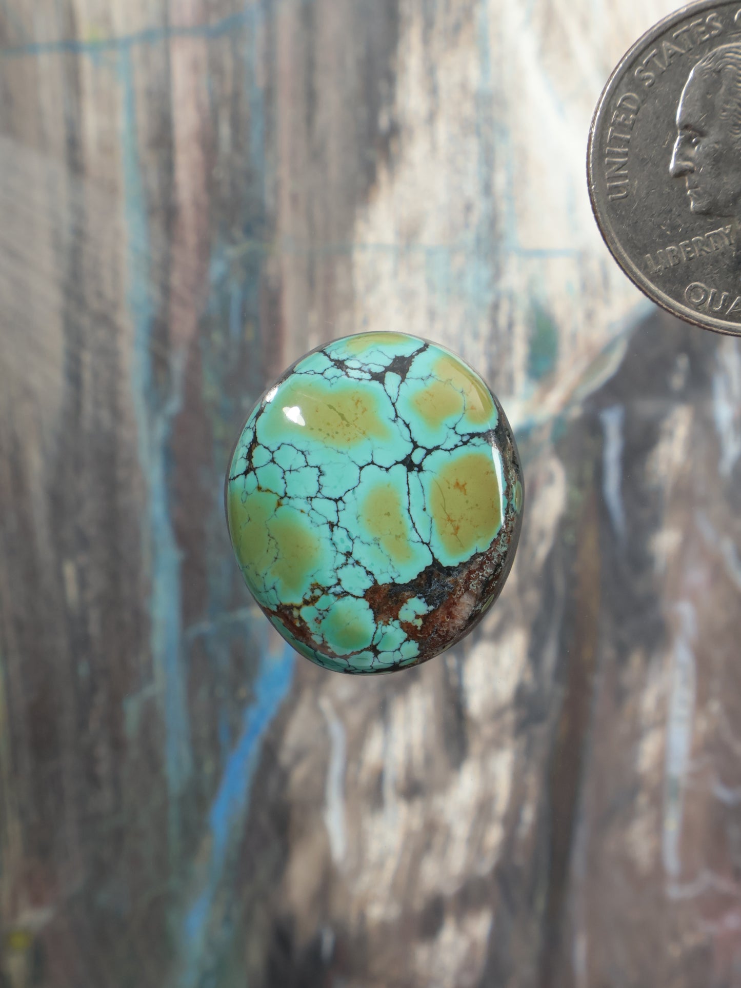 Turquoise cabochon gemstone, oval with dark webbing and green-blue color
