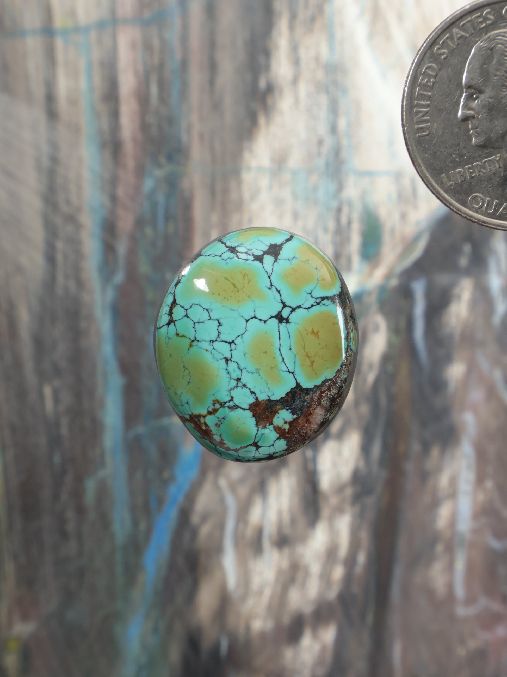 Turquoise cabochon gemstone, oval with dark webbing and green-blue color