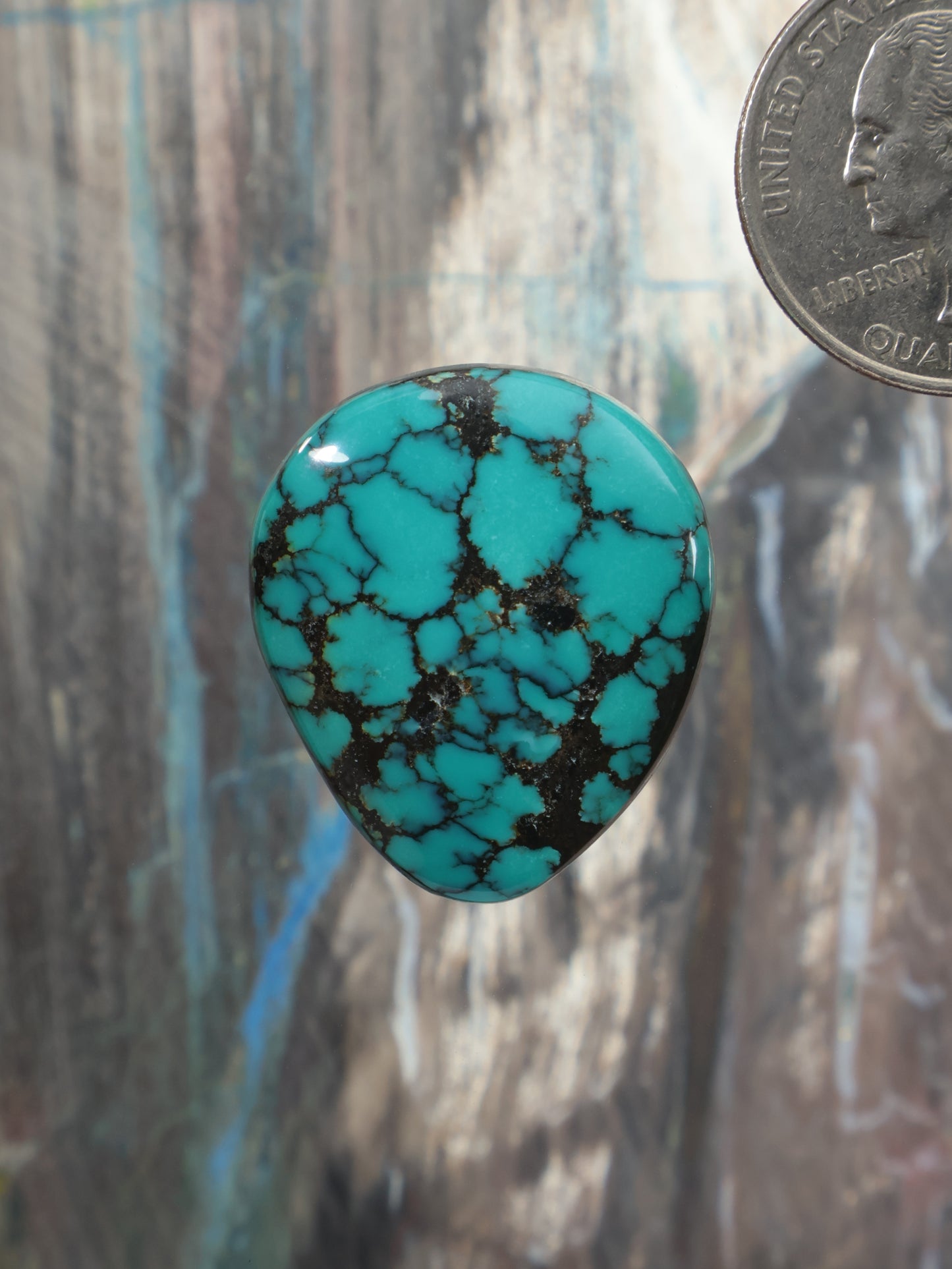 Turquoise teardrop cabochon with black matrix webbing
