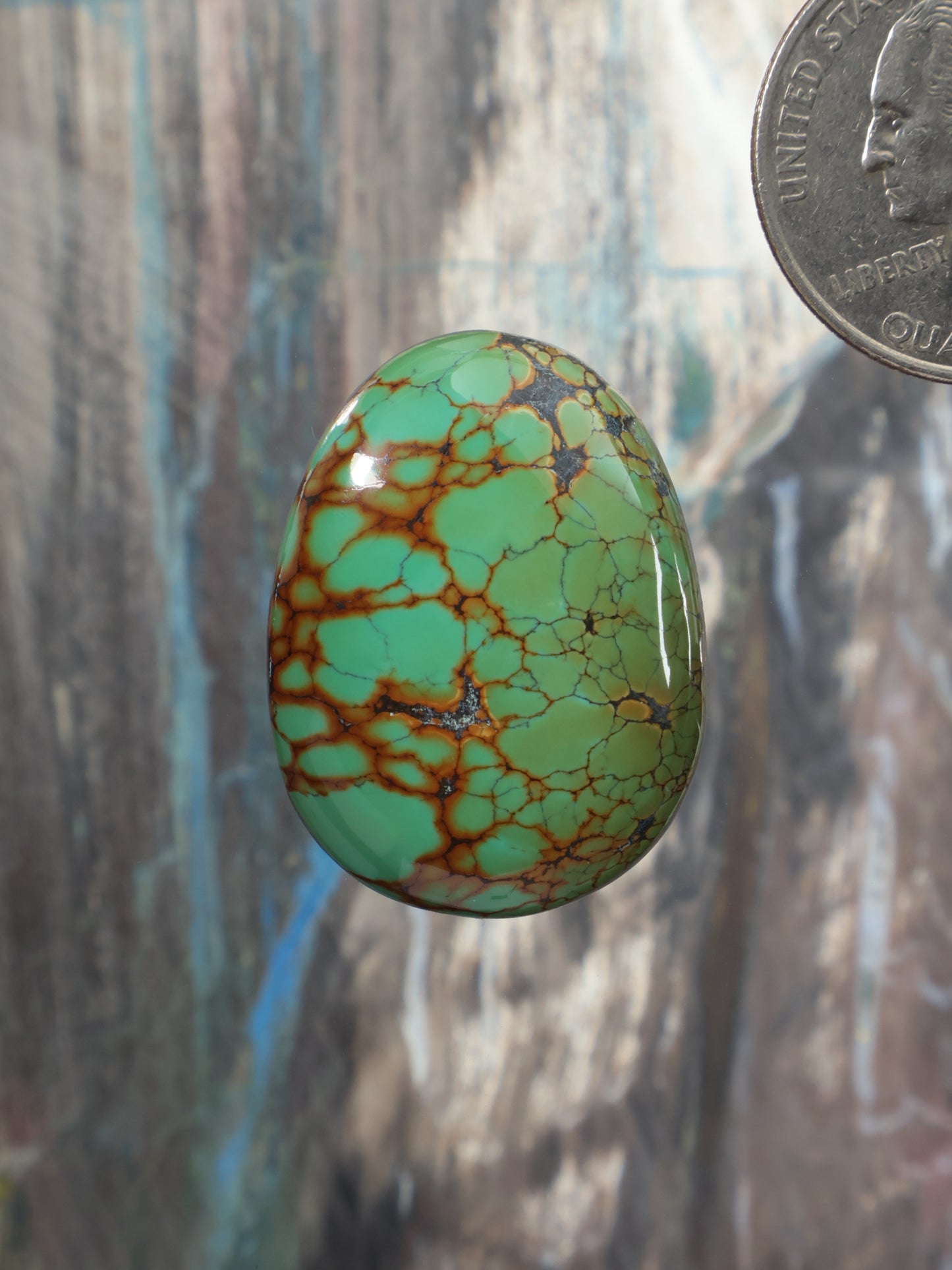 Turquoise oval cabochon with brown crackle webbing, high-gloss finish.