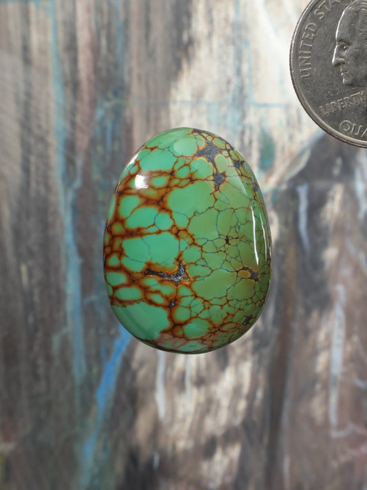 Turquoise oval cabochon with brown crackle webbing, high-gloss finish.