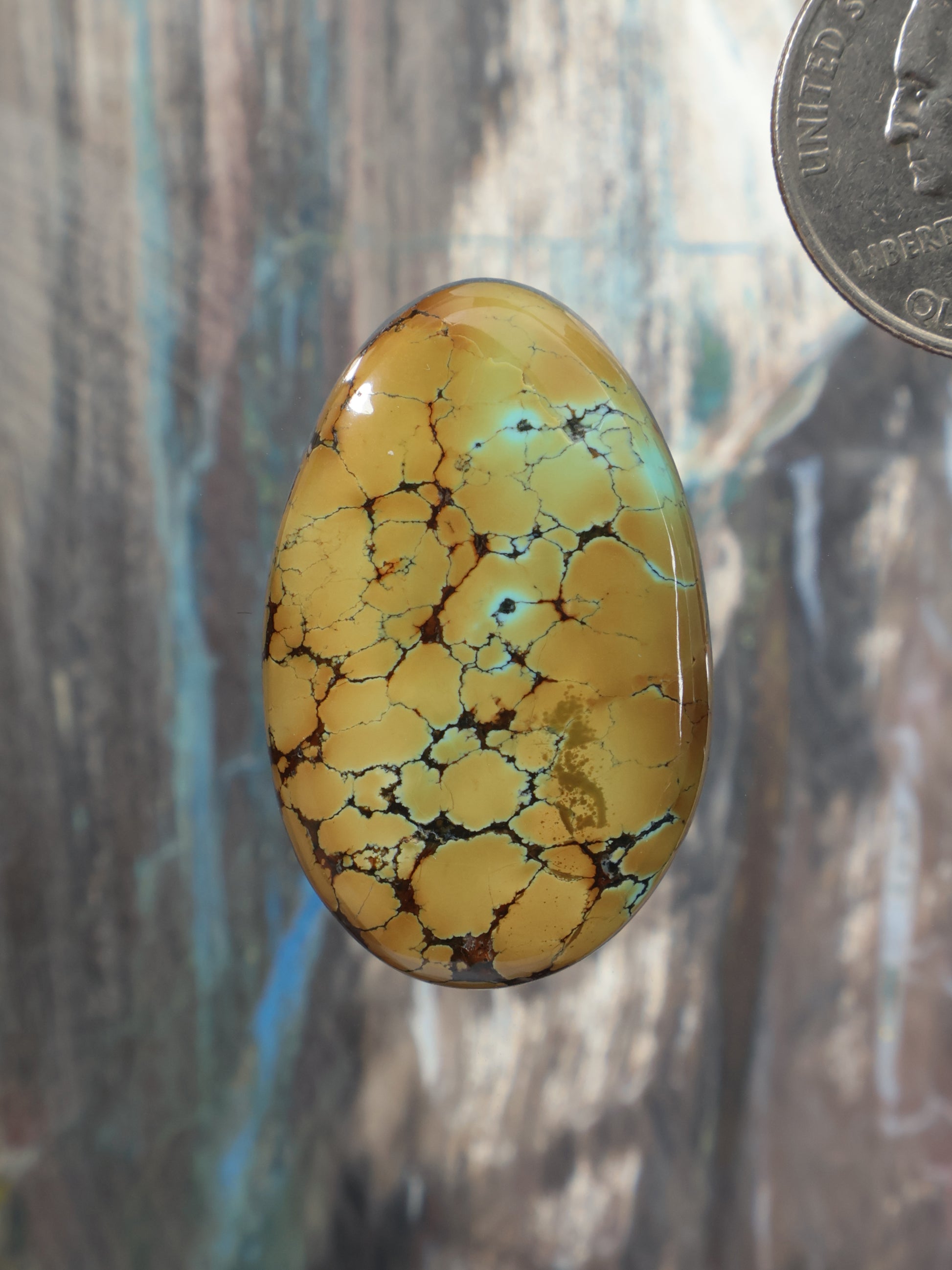 Oval turquoise cabochon with golden-yellow base and webbed dark matrix veining