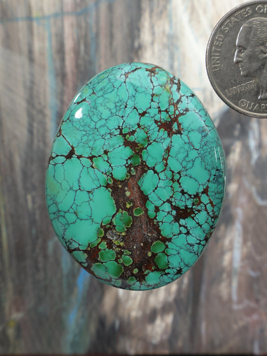 Turquoise oval cabochon gemstone with dark brown matrix webbing