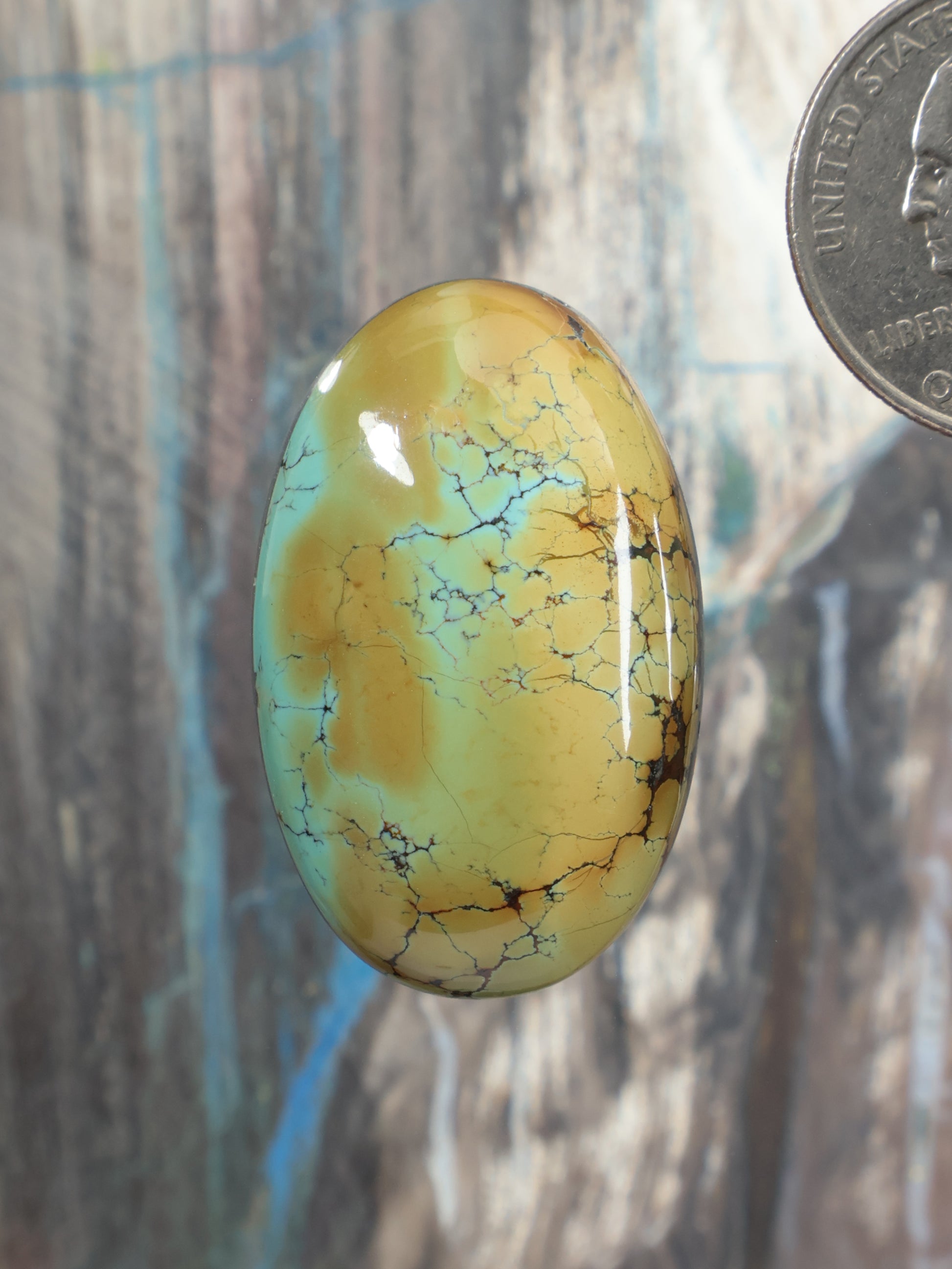 Oval turquoise cabochon gemstone, yellow-green with black web-like veins
