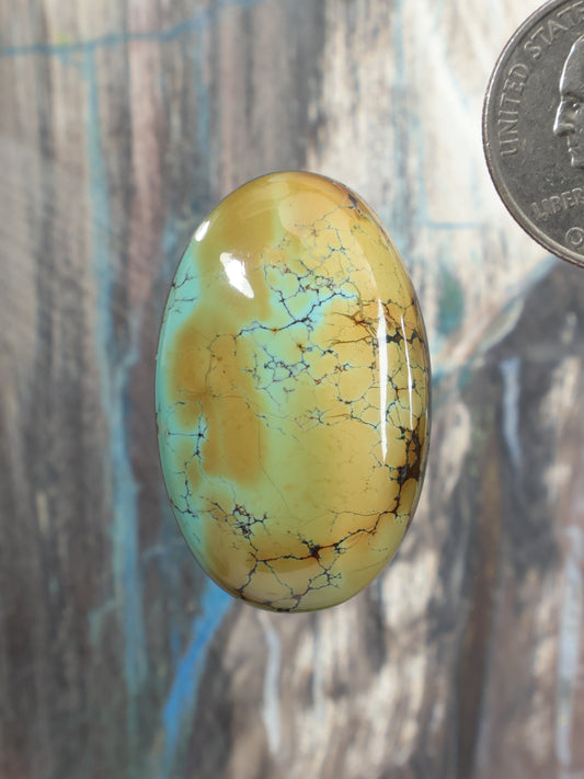 Oval turquoise cabochon gemstone, yellow-green with black web-like veins