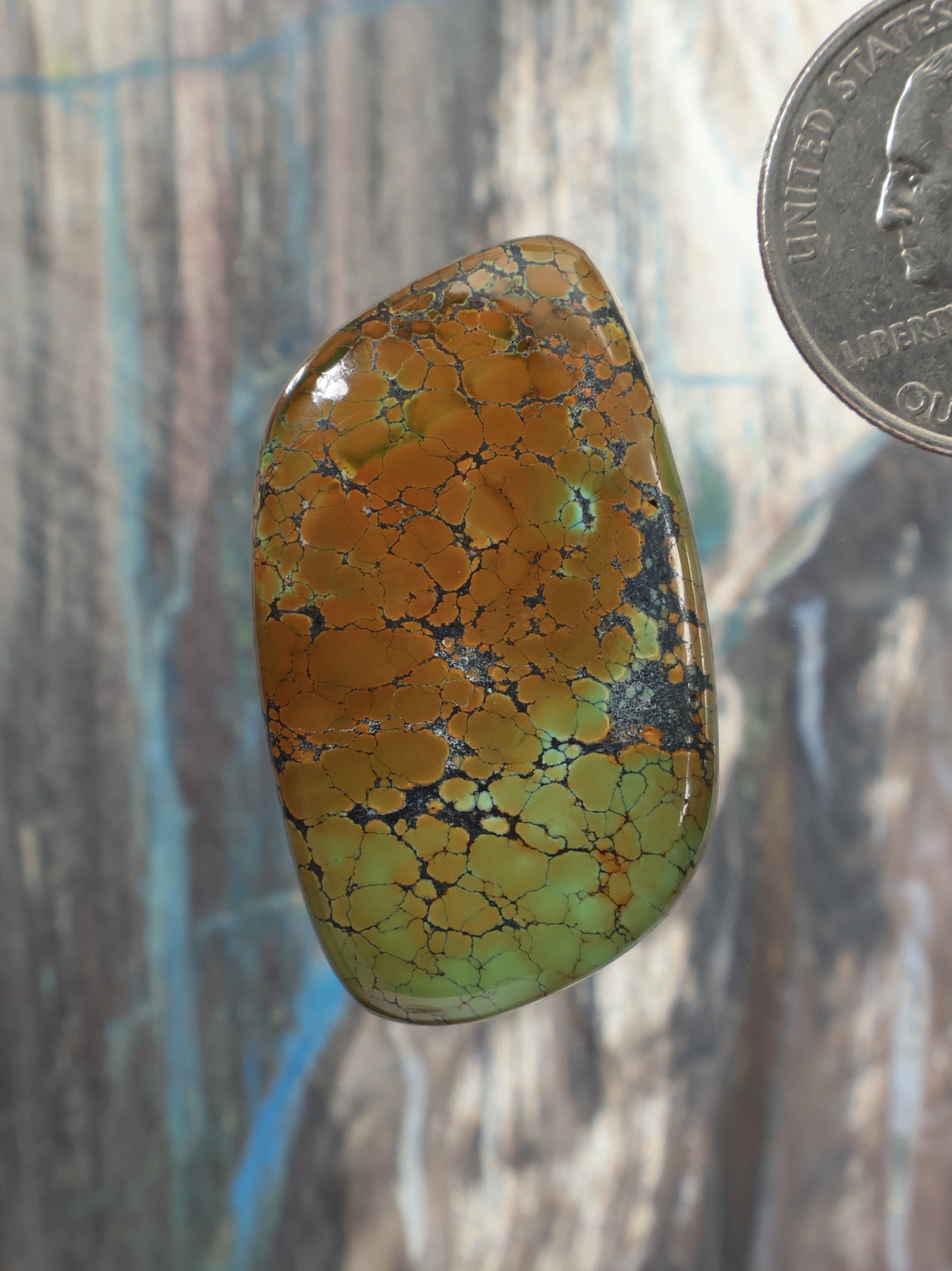 Skyhorse turquoise cabochon with golden-brown base and green-blue webbing, oval